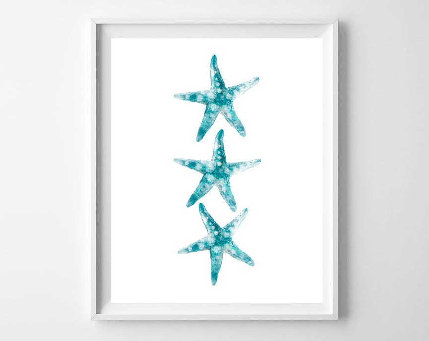 starfish art in frame