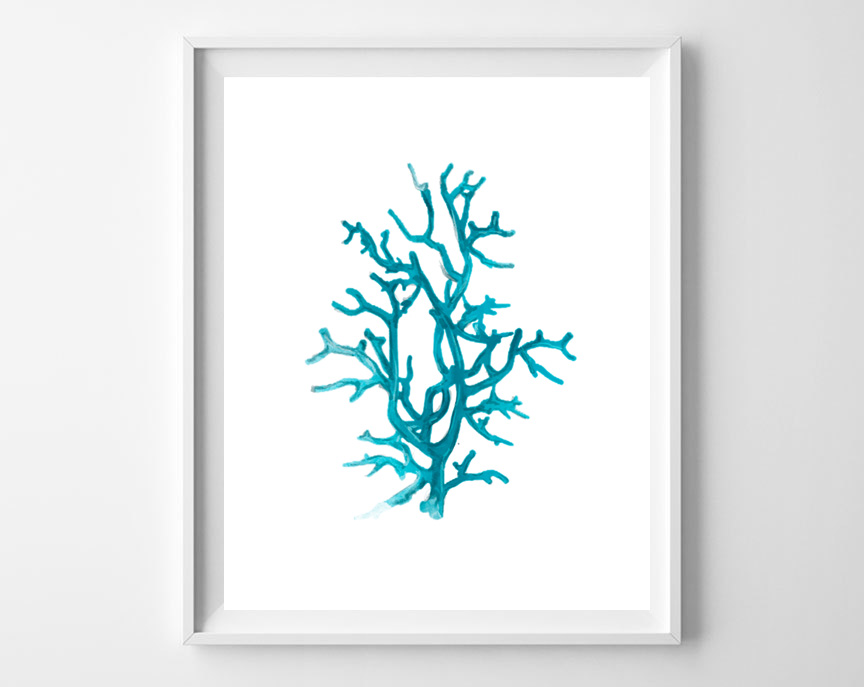 coral art in frame