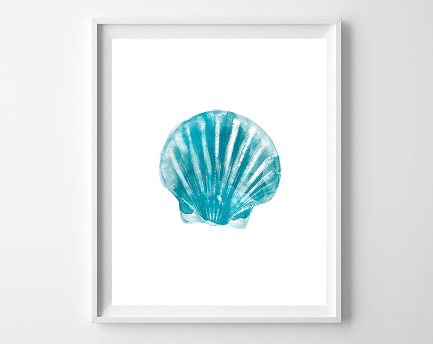 turquoise seashell in frame