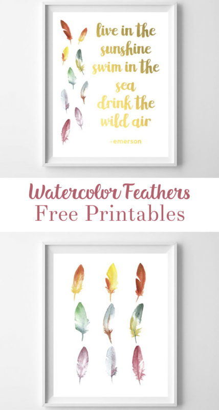 feather printable art