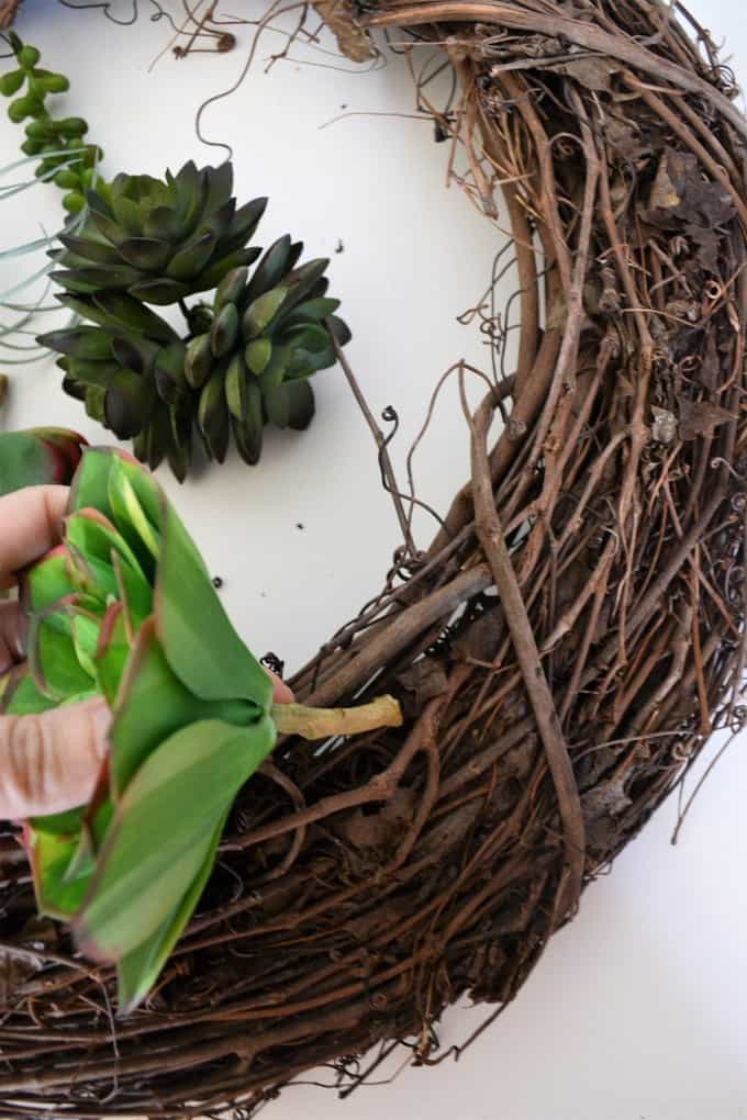 twig succulent wreath