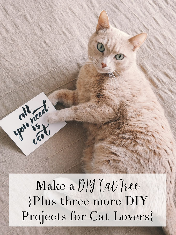 diy cat tree project