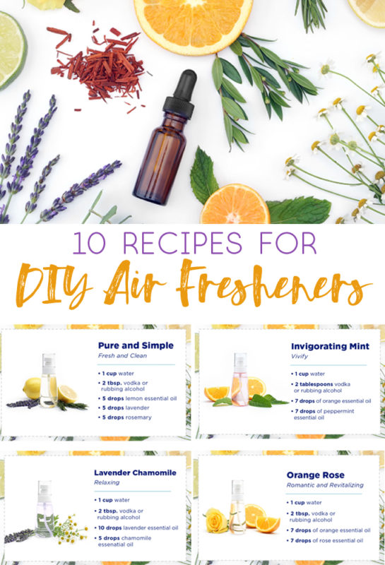 DIY Air Freshener {How to Make Your Own Home Air Fresheners} all
