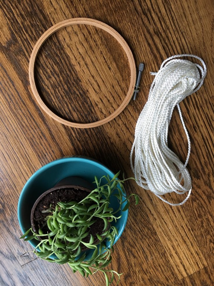 Hanging Succulents - How to Make a Hanging Succulent Planter - all ...