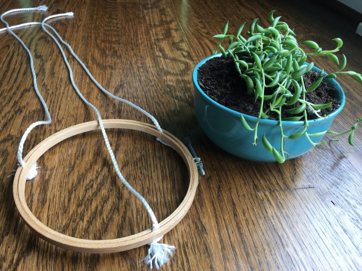Hanging Succulents How to Make a Hanging Succulent Planter all