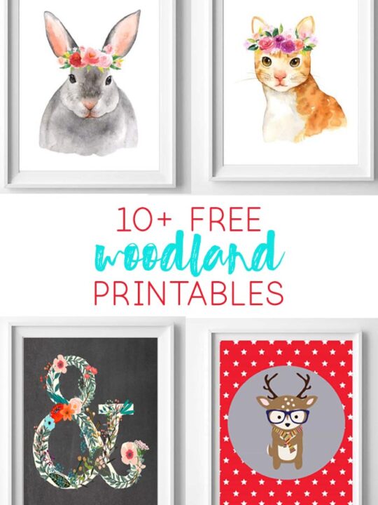 woodland printables | nursery art | free printables | woodland animals | free printable art | nursery art | nursery decor