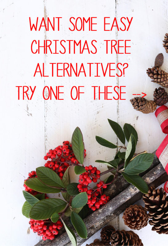 christmas tree alternatives