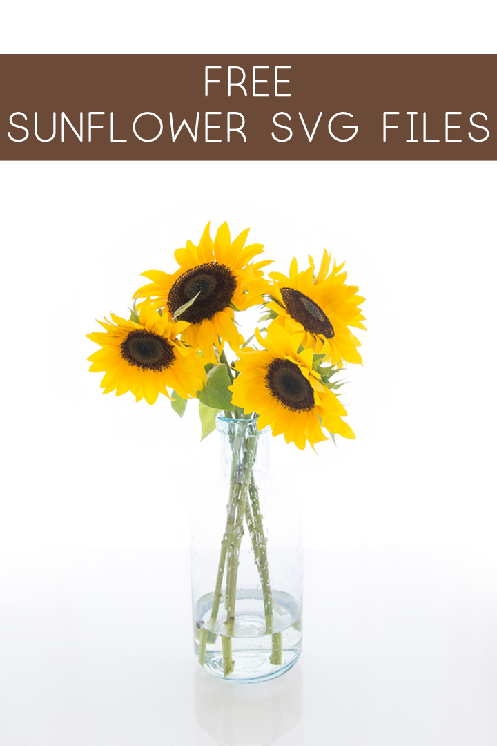 Download Sunflower SVG Free {Free Sunflower SVG Files for Your Cutting Machine} - all crafty things