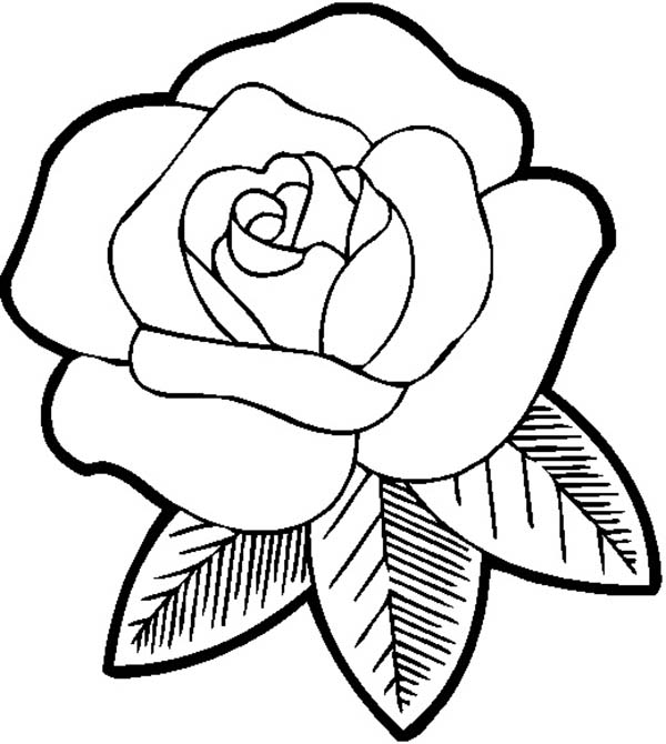 940 Cute Rose Coloring Pages  Latest Free
